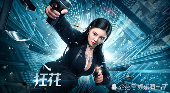卡尔斯鲁厄师范学院Computer Science Diploma